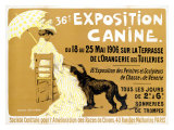 Buy 36th Exposition Canine de Briard at AllPosters.com