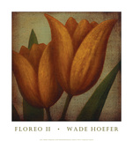 Floreo II
