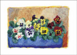 Buy Pansies at AllPosters.com