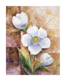 Buy It's a dream at AllPosters.com