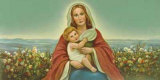 Buy Madonna with Child at AllPosters.com