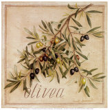 Olivea