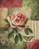 Rose and Butterfly
