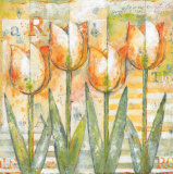 Mariels Tulips II