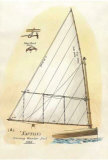 Nautilus III