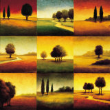 Buy Landscape Perspectives at AllPosters.com