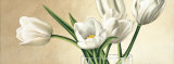 Vaso con Tulipani Bianchi