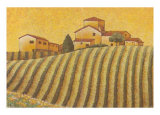 Buy The Colours of Provence IV at AllPosters.com
