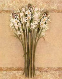 White Mirage I