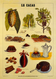 Le Cacao