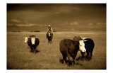 Cowboy Face Off