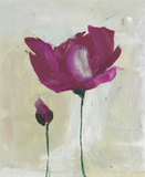 Peonies