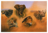 Buy Other Elephant at AllPosters.com