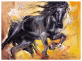 Black Arabian Beauty