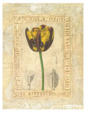 Buy Tulipanes Bessa I at AllPosters.com