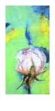 Buy Temperamental II at AllPosters.com