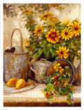 Sunflower Garden II