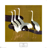 Buy Cranes at AllPosters.com