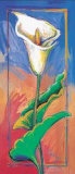 Buy White Trumpet at AllPosters.com
