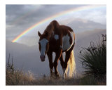 Buy Evening Promise at AllPosters.com
