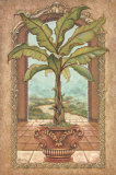Classical Banana Tree