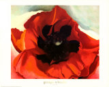 Poppy Art Print