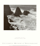 Pacific Vista
