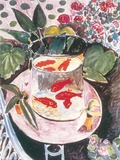 Goldfish