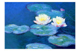 Waterlilies, Evening