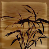 Buy Bamboo Waves I at AllPosters.com