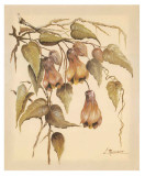 Buy Flores Colgantes III at AllPosters.com