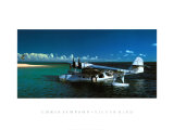 Buy Silver Bird at AllPosters.com