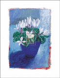 Buy Cyclamen at AllPosters.com
