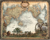Buy World Map at AllPosters.com