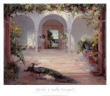 Sunlit Courtyard