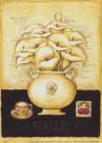 Buy White Callas and Cherries at AllPosters.com