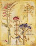 Buy Fragile Petals at AllPosters.com