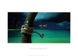 Buy Island Breeze at AllPosters.com
