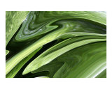 Buy Groovin' into Green at AllPosters.com