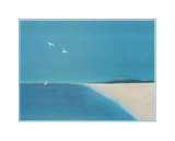 Wings in the Bleu II