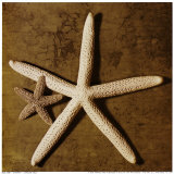 Starfish