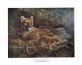 Mother's Watchful Eye