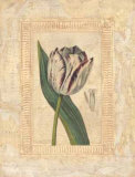 Buy Tulipanes Bessa II at AllPosters.com