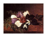 Buy Crocii and Snowdrops on Marble Ledge at AllPosters.com