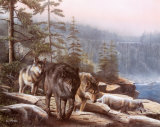 Buy Stalking the Bluffs at AllPosters.com