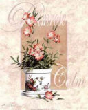 Primrose
