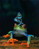 Frogs