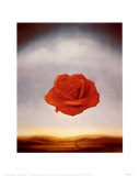Rose Meditative, c.1958
