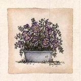Violets