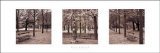 Jardins des Tuileries